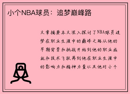 小个NBA球员：追梦巅峰路
